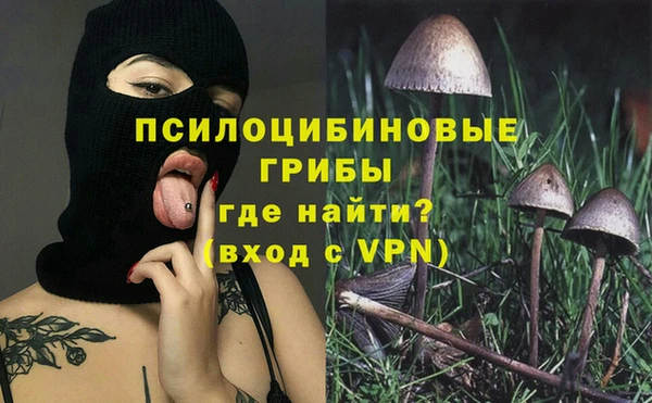 синтетический гашиш Гусев