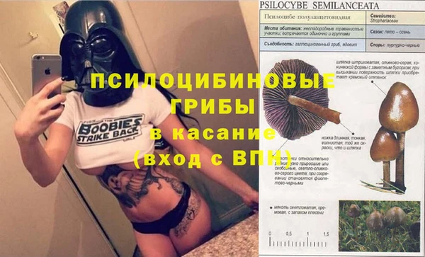 синтетический гашиш Гусев