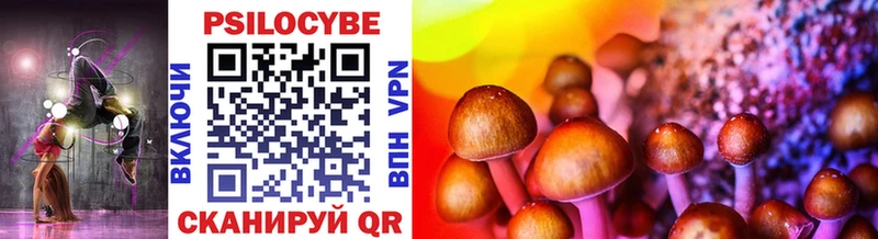Купить закладки  Каргат  Галлюциногенные грибы Psilocybe 